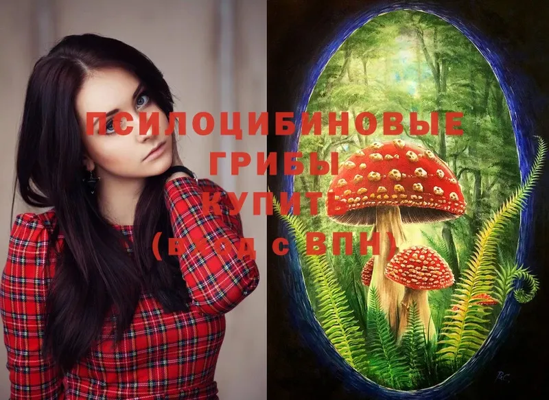 Галлюциногенные грибы MAGIC MUSHROOMS  где найти наркотики  Туринск 